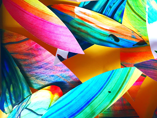 Sophia and The Amazing Technicolor Dream Feathers