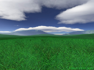 Free Desktop Green fields Background Wallpaper