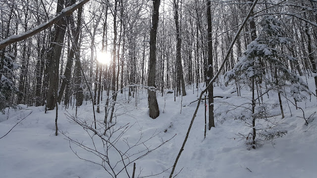 Sentier de raquette au parc Nakkertok