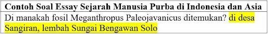 Contoh Soal Essay Sejarah Manusia Purba di Indonesia dan Asia kelas 10 SMA dan Jawabannya