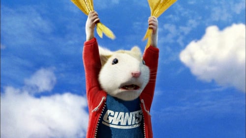 Stuart Little 2 2002 video