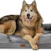 Bedsure Orthopedic Dog Bed, Bolster Dog Beds for Medium/Large/Extra Large Dogs - Foam Sofa with Removable Washable Cover, Waterproof Lining and Nonskid Bottom Couch 