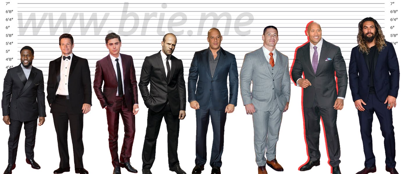 Vin Diesel's Real Height - Brie