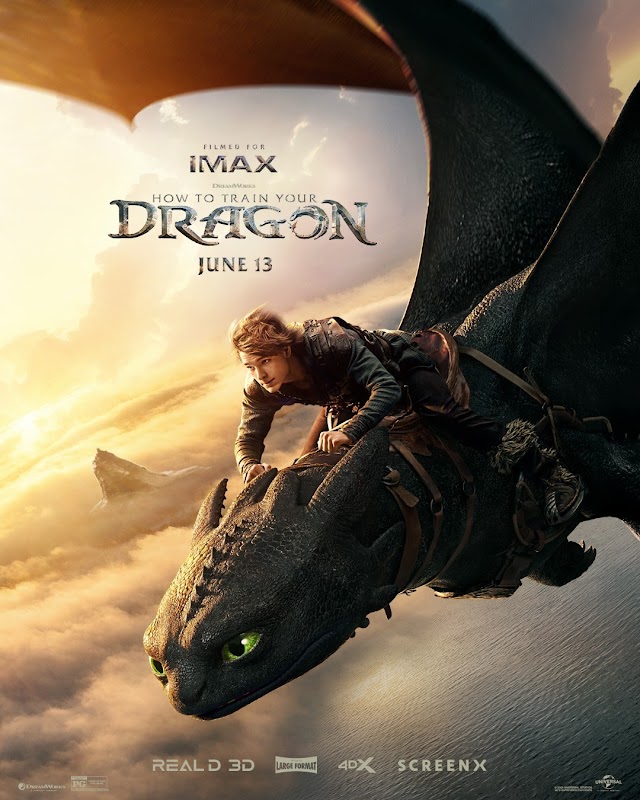 How to Train a New Dragon?