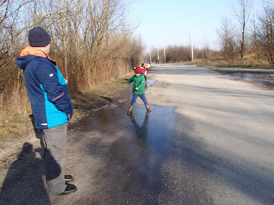 Spacer na Zakrzówku, grzyby 2018, grzyby w styczniu, grzyby zimowe