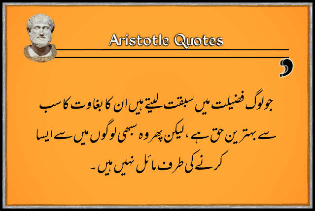 Aristotle quotes for Respect in urdu respecting quotes