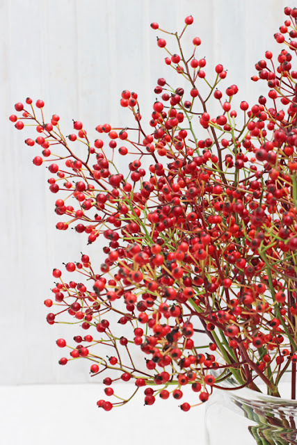 Small red rose hips