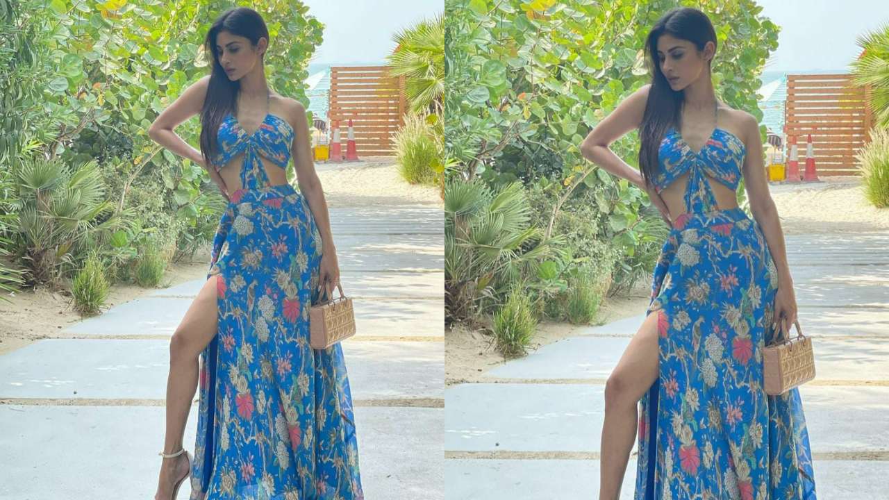 Gossips: Mouni Brahmastra star Mouni Roy sizzles in a provocative flower outfit, photographs circulate around the web