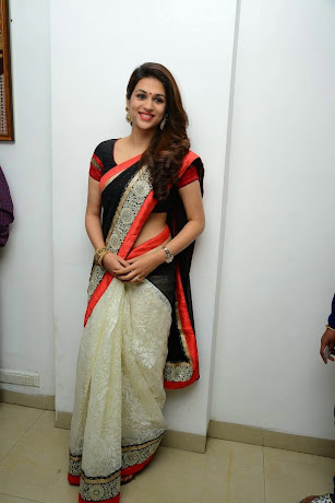 Shraddha Das Saree Picture