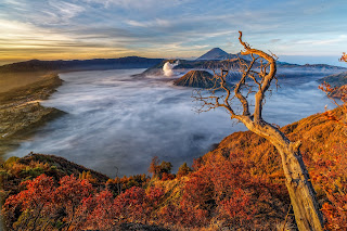 Mount bromo tour package