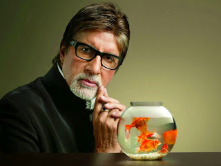 amitabh bachchan old photo gallery