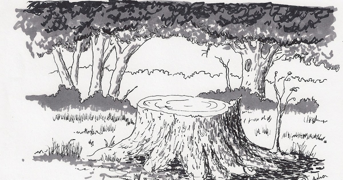 Adron's Art Lesson Plans: Drawing a Picture of a Tree Stump a Skill