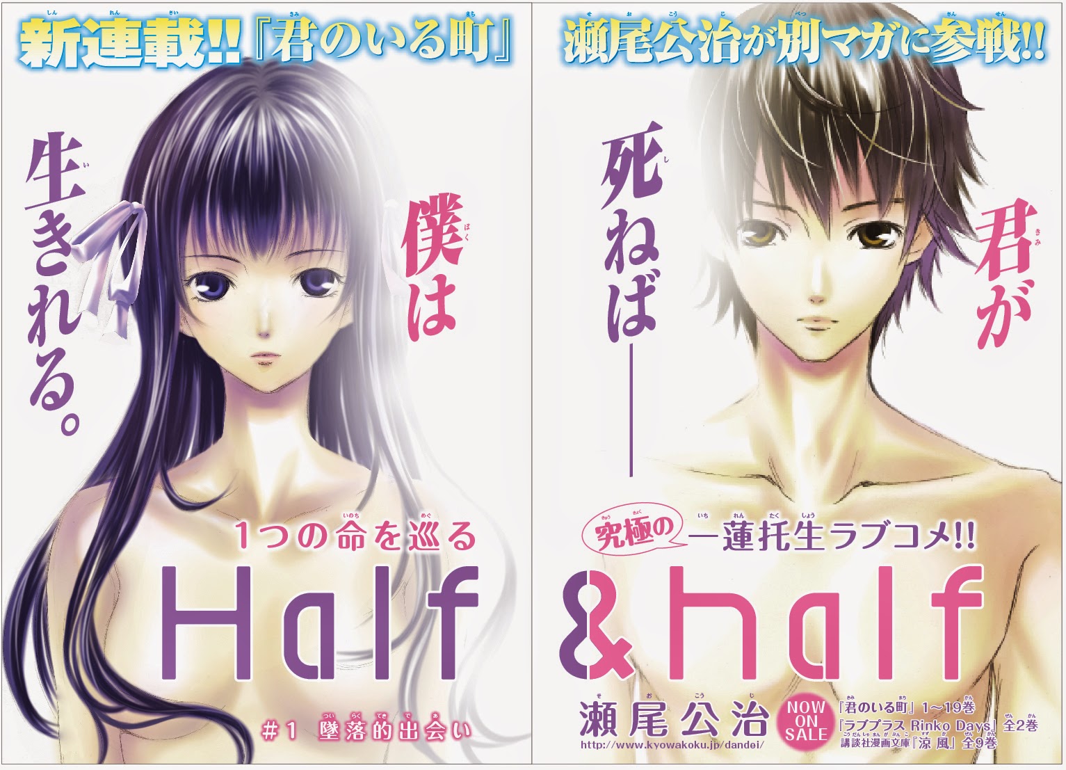 Manga Half & Half finalizará en Mayo