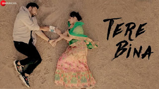 Tere Bina Lyrics - Bismil - Jannat Zubair Rahmani