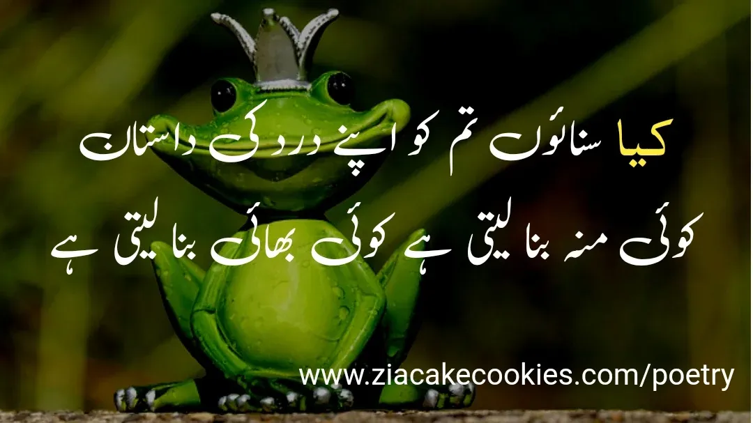 funny shayari in urdu