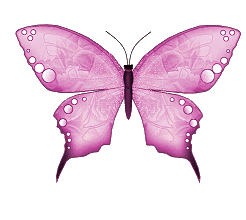 Borboleta (164)