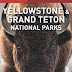 Télécharger Frommer's Yellowstone & Grand Teton National Parks Livre