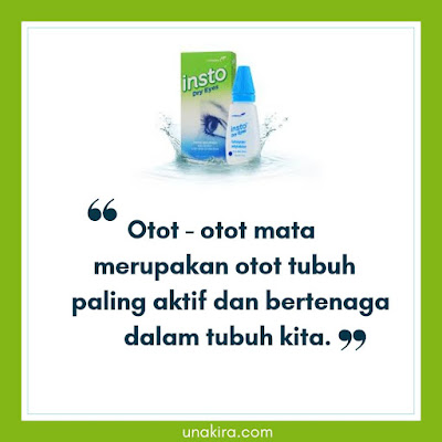 Insto Dry Eyes Solusi Mata Kering