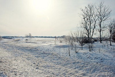 IMG_8908 copy