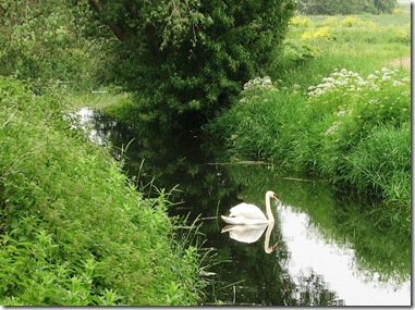 20120530 Shirley Moor Cradlebridge Sewer (15a)