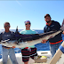 Cabo San Lucas Fishing Report January 16 - 22, 2016