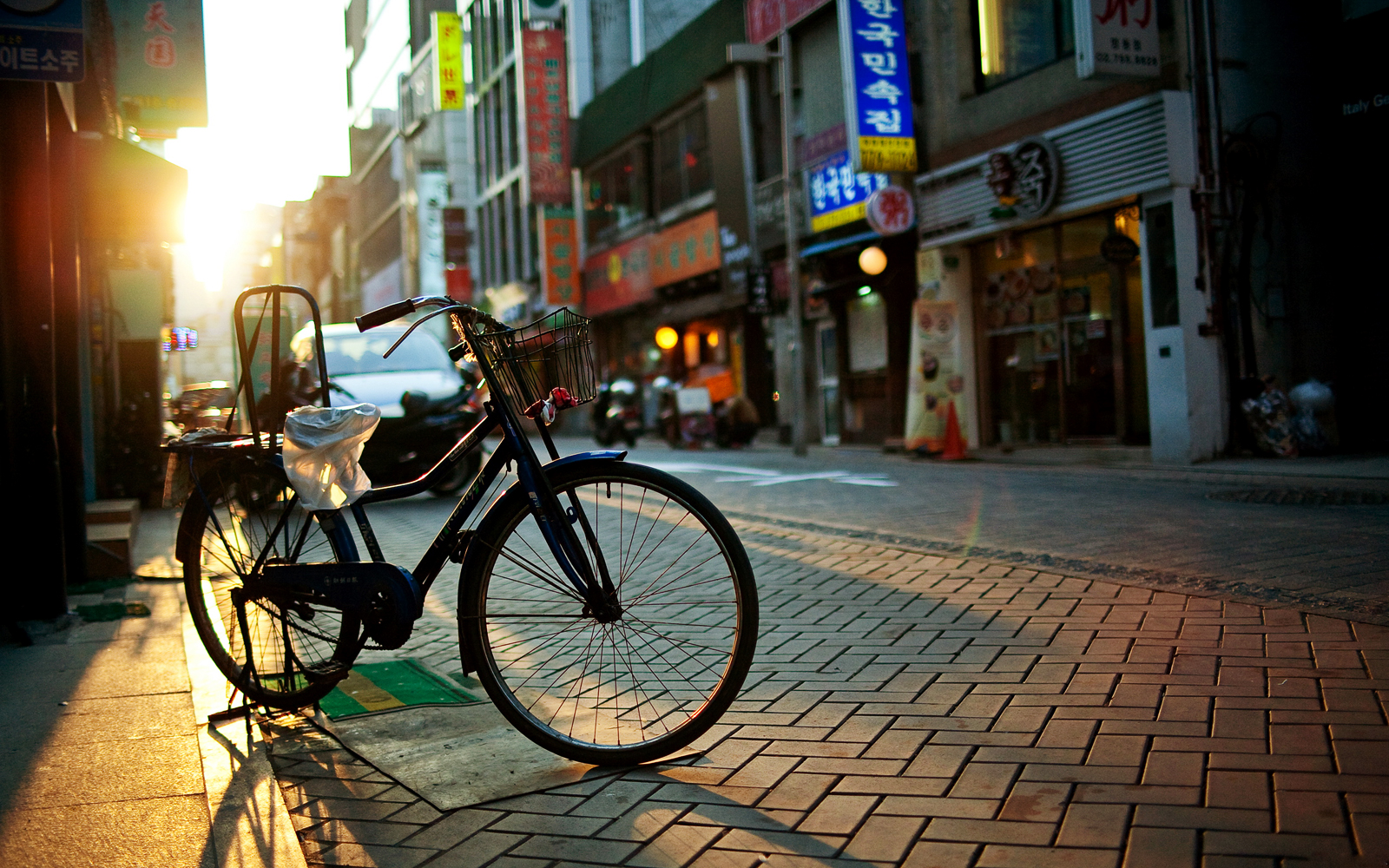 Vintage Bicycle Phot