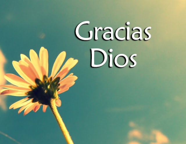 gracias Dios por todo