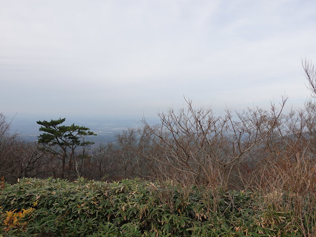 豪円山の山頂からの眺望