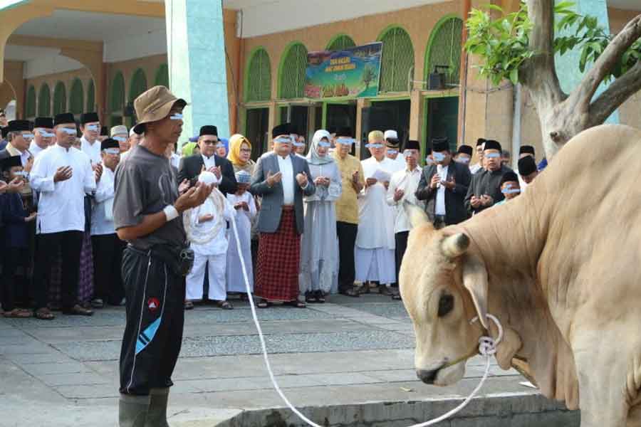 tata cara dan sayarat memotong hewan qurban