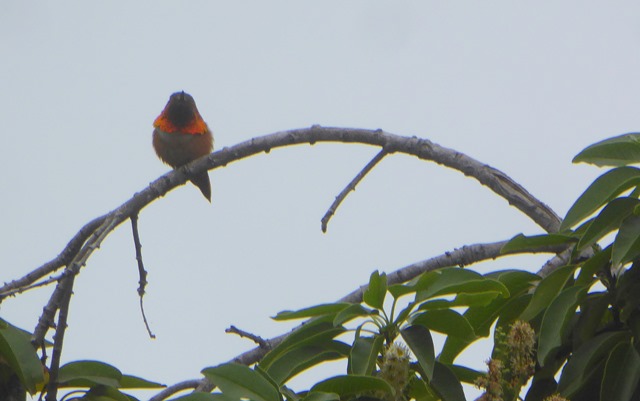 P1200794