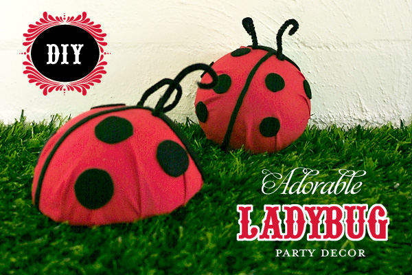 Mother Home DIY  Ladybugs 