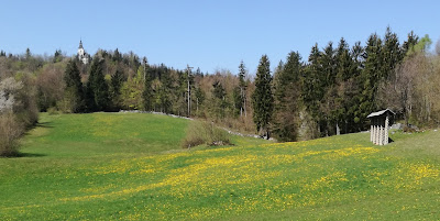 Alpine meadow, hay rack and St Stephens Church in distance