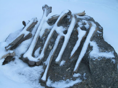 Roopkund Trek Himalayas