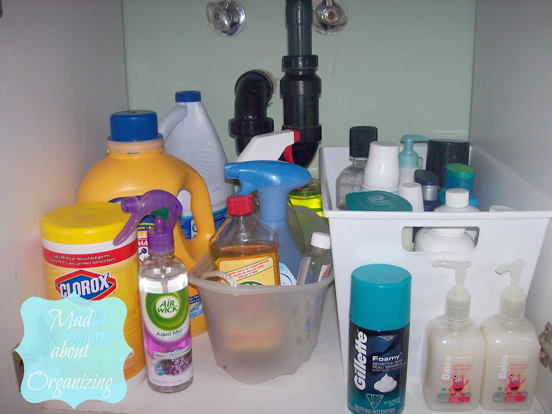  ..ca/2012/10/Organizing-Under-bathroom-sink.html title=