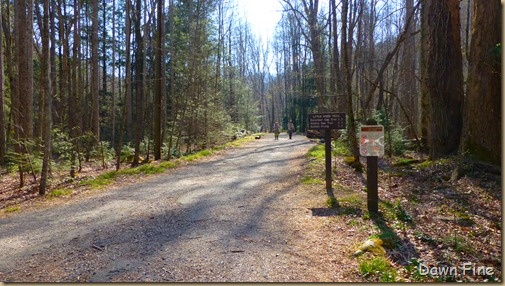 cucumber gap loop (11)