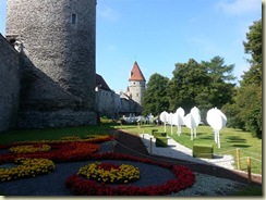 20130727_wheres Ellen (Small)