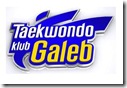 Logo TKD Galeb Belgrad