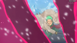 ワンピースアニメ パンクハザード編 598話 ロロノア・ゾロ Roronoa Zoro | ONE PIECE Episode 598