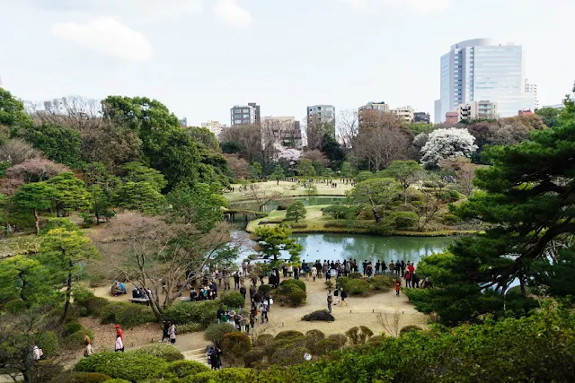 六義園（文京区）の藤代峠（富士見山）からの景色