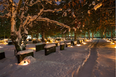 A snowy cemetery with large trees and lights illuminating graves all around