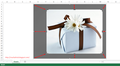 Cara Memotong Gambar Crop Picture di Excel