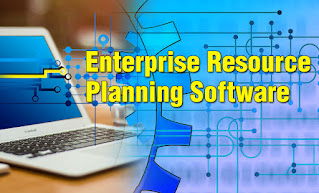 8 reasons Why Business needs Enterprise Resource Planning Software