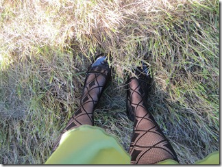 IMG_8795 IMG_8795