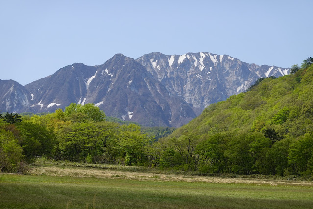 鳥取県西伯郡大山町松河原 牧草地の風景