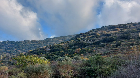 Χειμωνιάτικοι κίτρινοι δρόμοι