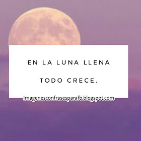 luna llena todo crece,