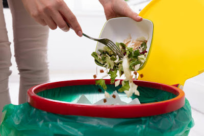 From Food Waste to Porcelain Reimagined