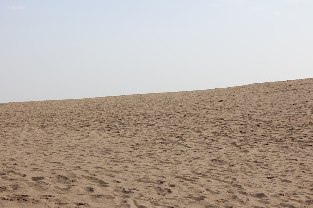 沙湖中的沙漠