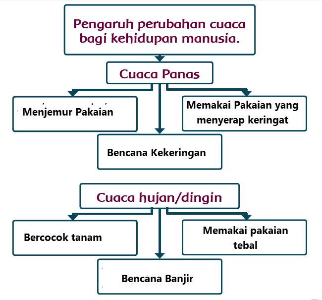 Pengaruh Cuaca