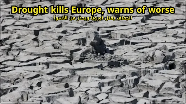 الجفاف وتأثيره على النظام البيئي في المغرب وأوروبا: حقائق ونتائج